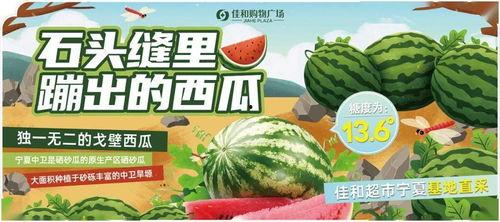 每日吃瓜大赛入口汇聚地,汇聚地揭秘,瓜界风云再起